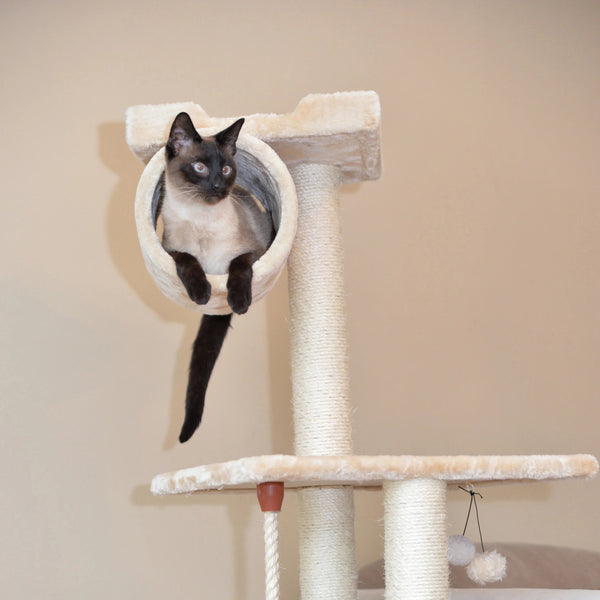 Cozy Cat Paradise Tower
